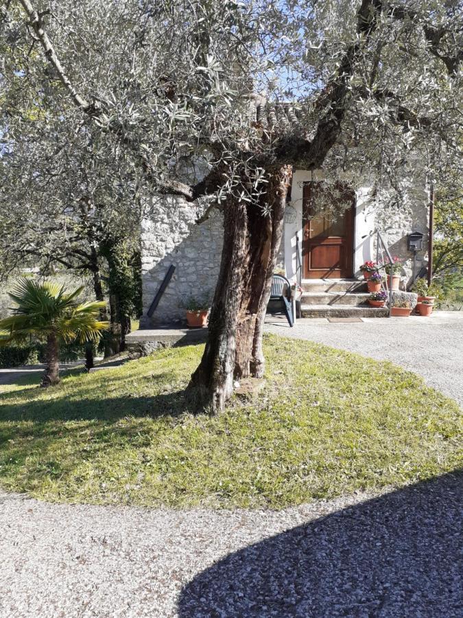 La Casetta Di Vacone Экстерьер фото